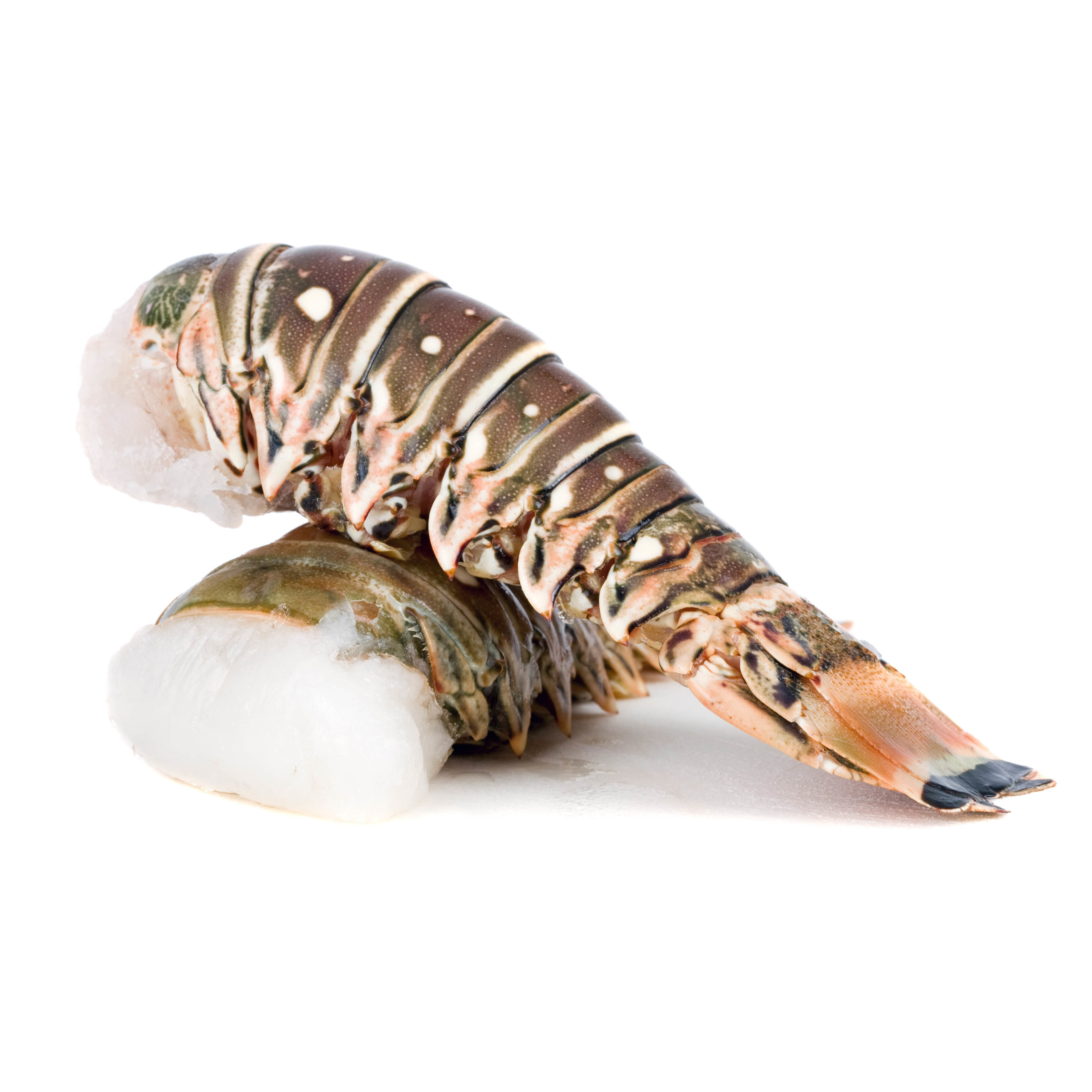 Frozen Australian Wild Green Lobster Tail 10/12oz (around 280g)*