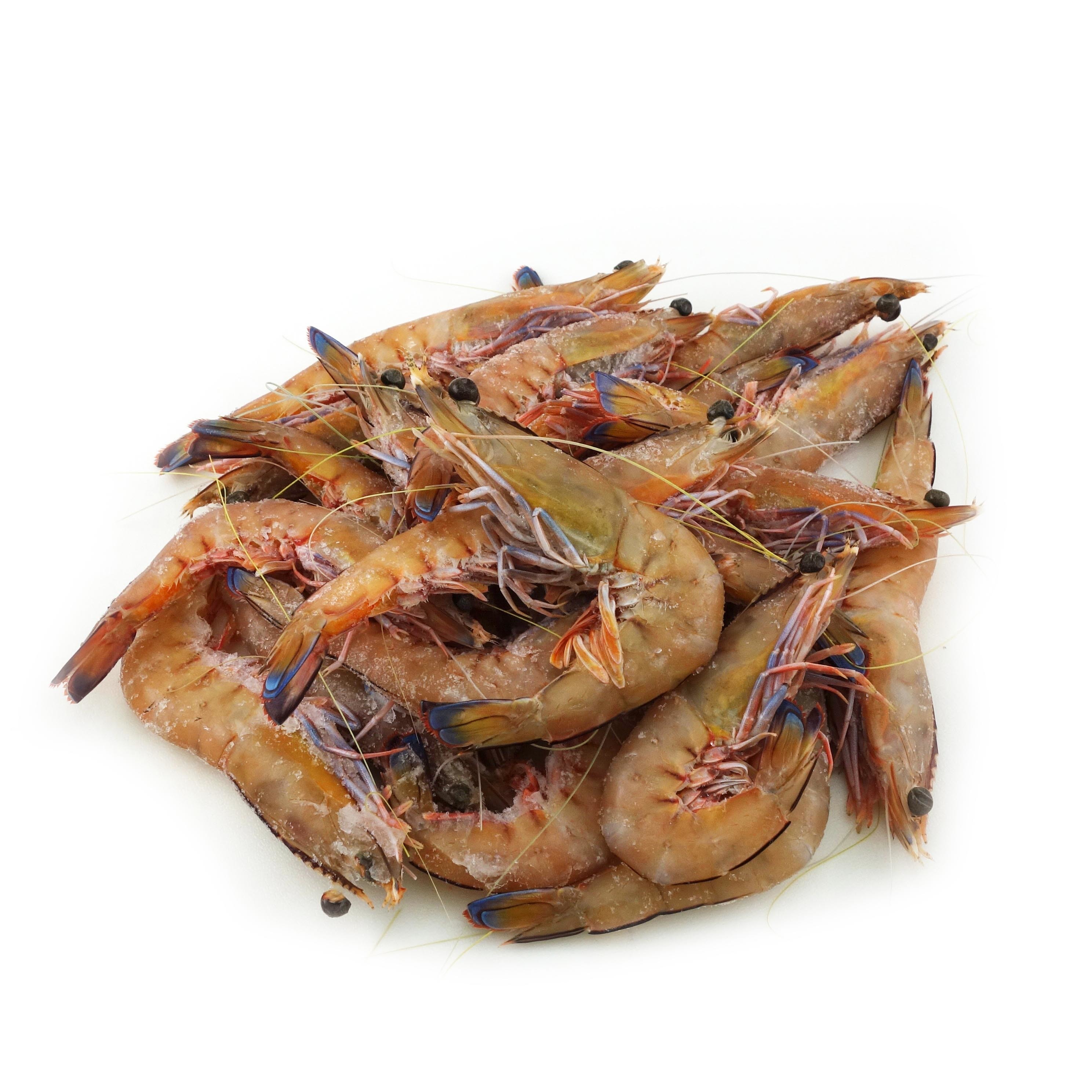 Frozen AUS Wild Catch King Prawn 1kg*