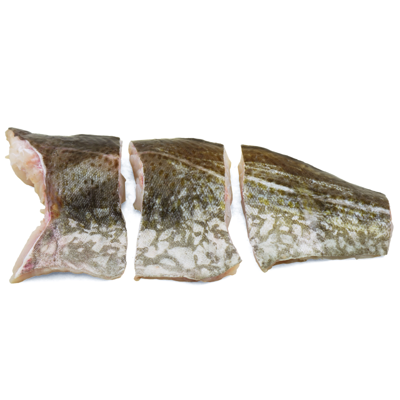 Frozen Atlantic Northeast COD Fillet