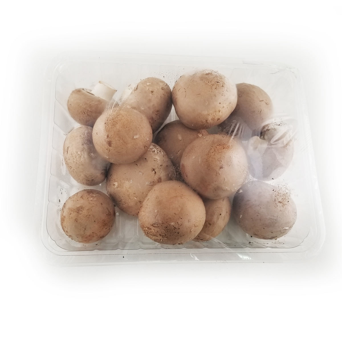 Organic Swiss Brown Mushroom - 500g - China*