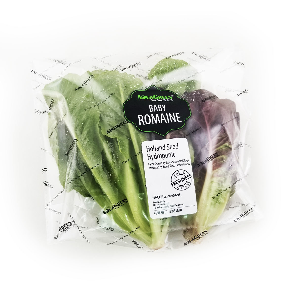 Romaine-Red-Green Hydroponic Salad - 200g - China*