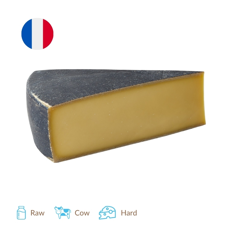 France Mons Saint Roman