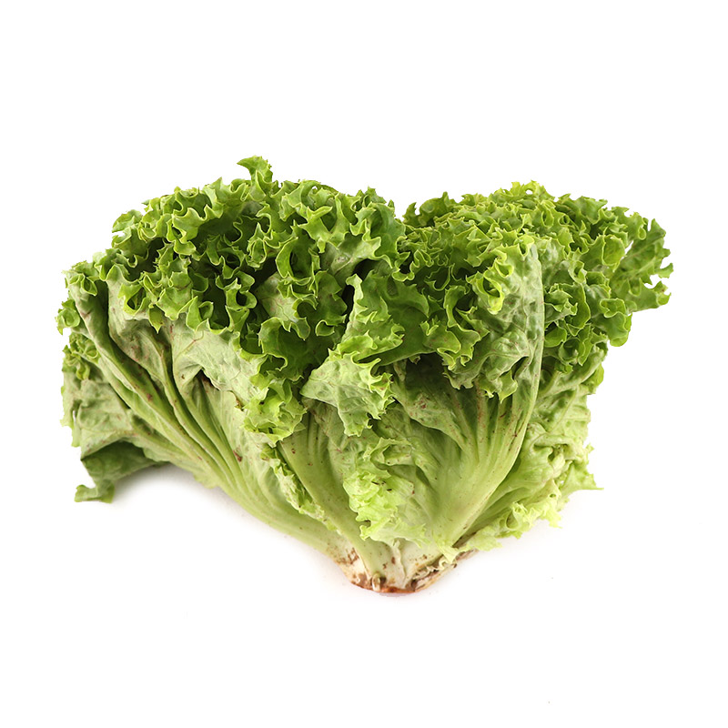 Lollo Blondo Lettuce 300g - Netherlands*