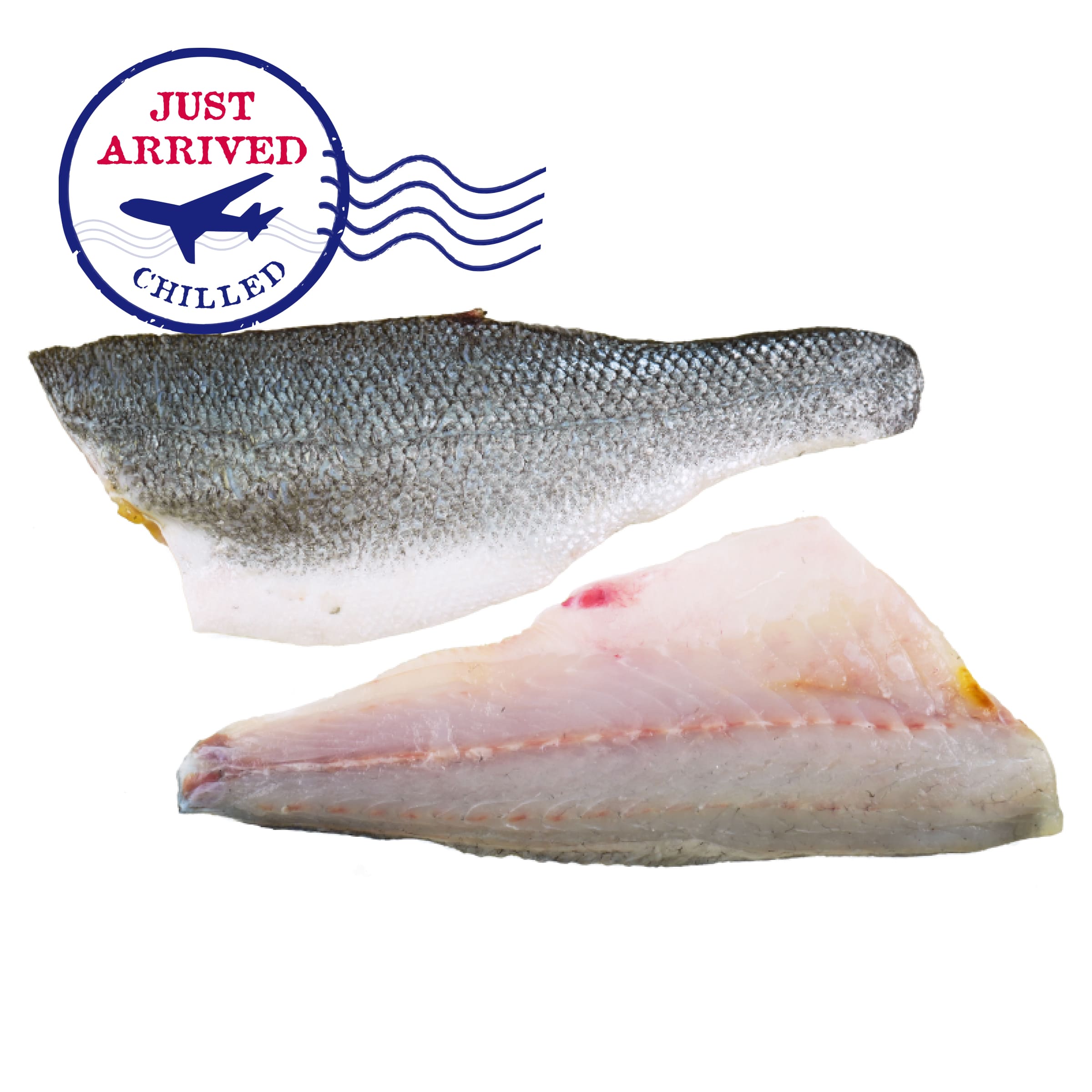 Greece Seabass Fillet 110/130g (2pcs)