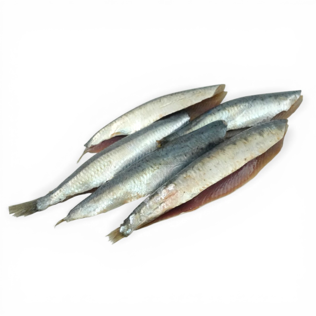 Frozen Atlantic Northeast Wild Caught Sardine Fillet 200g*