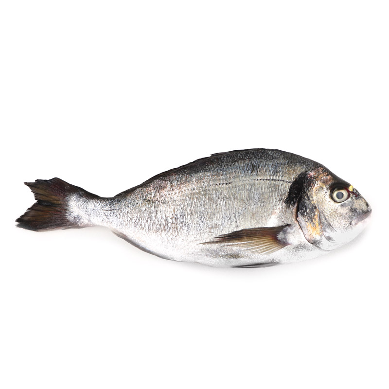 Frozen Wild Caught Seabream Whole G&G - Netherlands