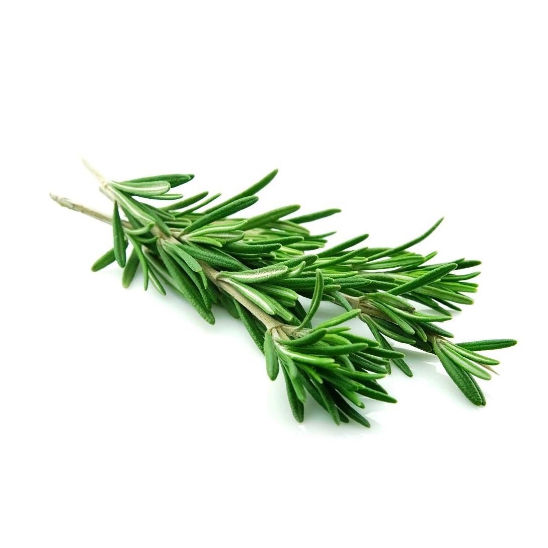 Rosemary 100g - Israel*