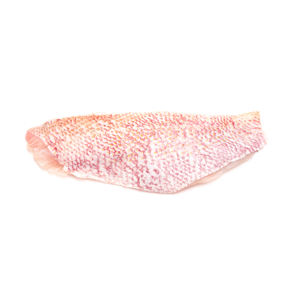 Frozen NZ Red Snapper Fillet