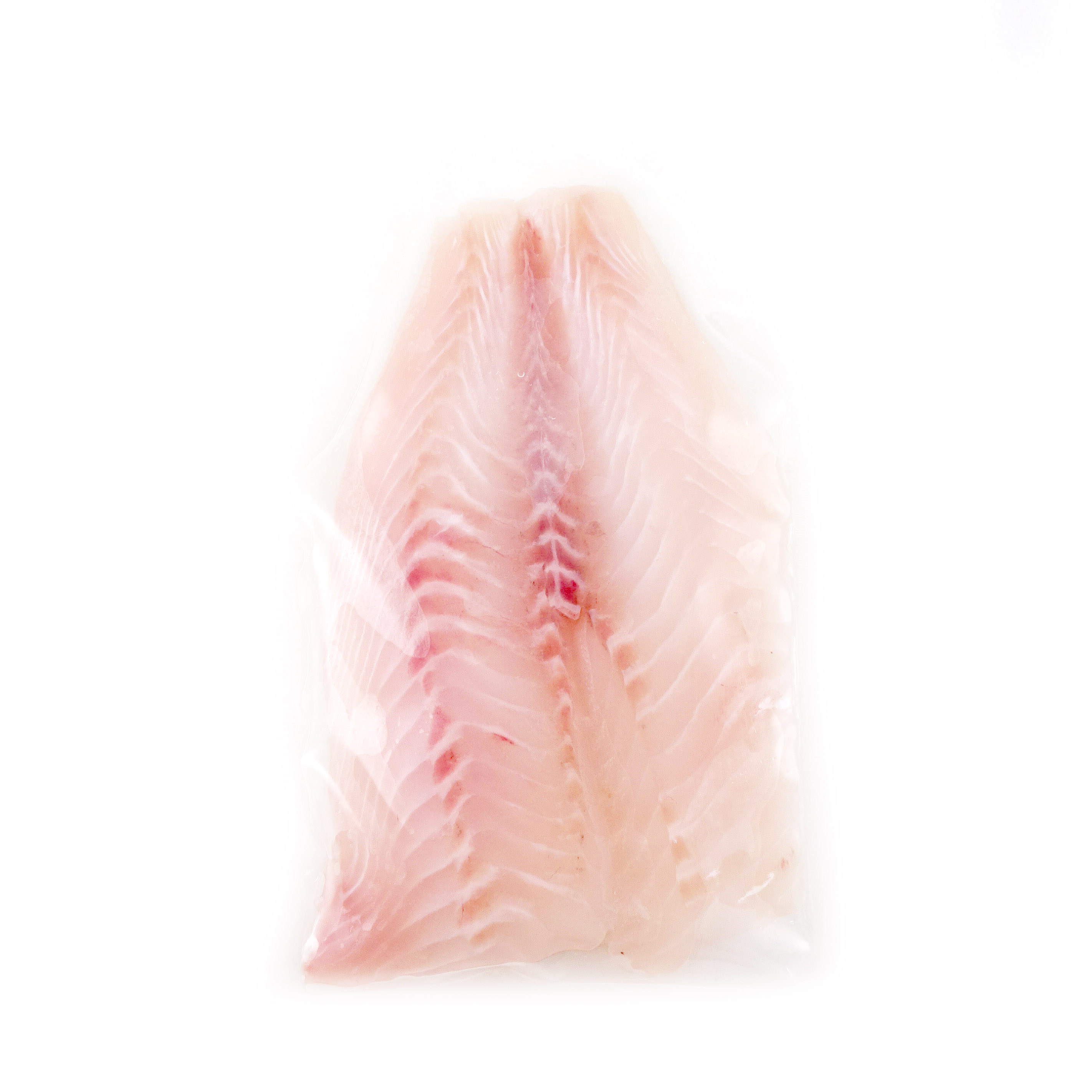 Frozen NZ Wild Caught Queen Snapper (baby size) 100g*