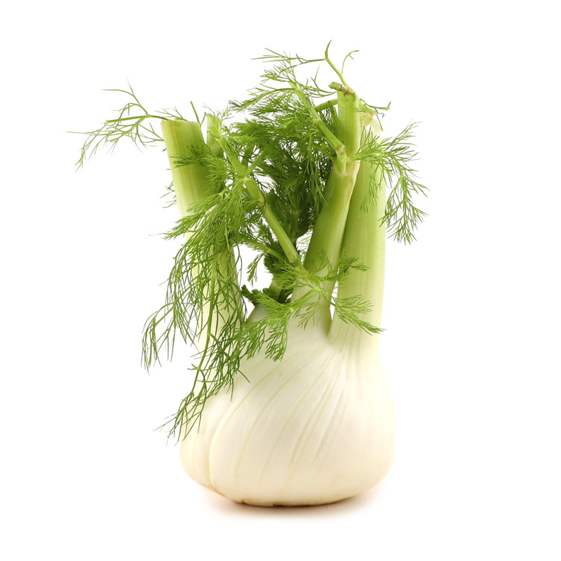 Fennel - Spain*