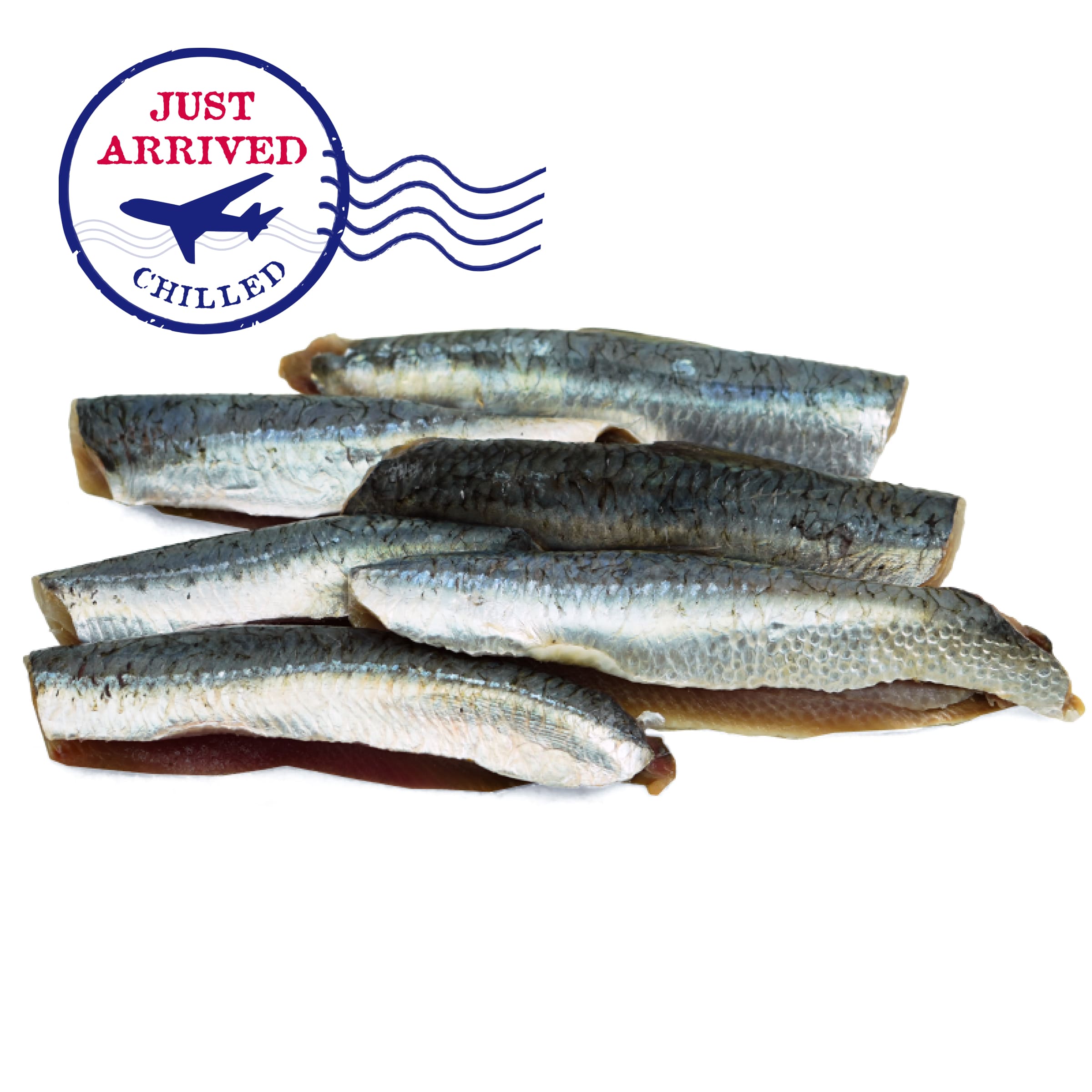 Atlantic Northeast Sardine Fillet