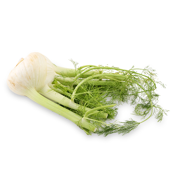 Italian Fennel 380-400g*