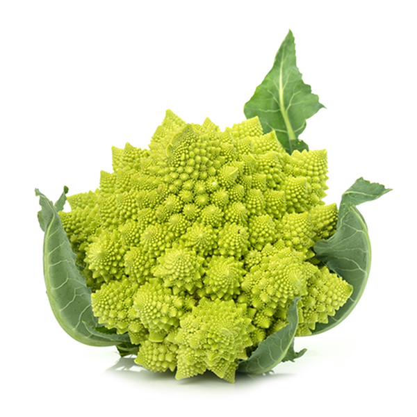 Holland - Romanesco 1kg 