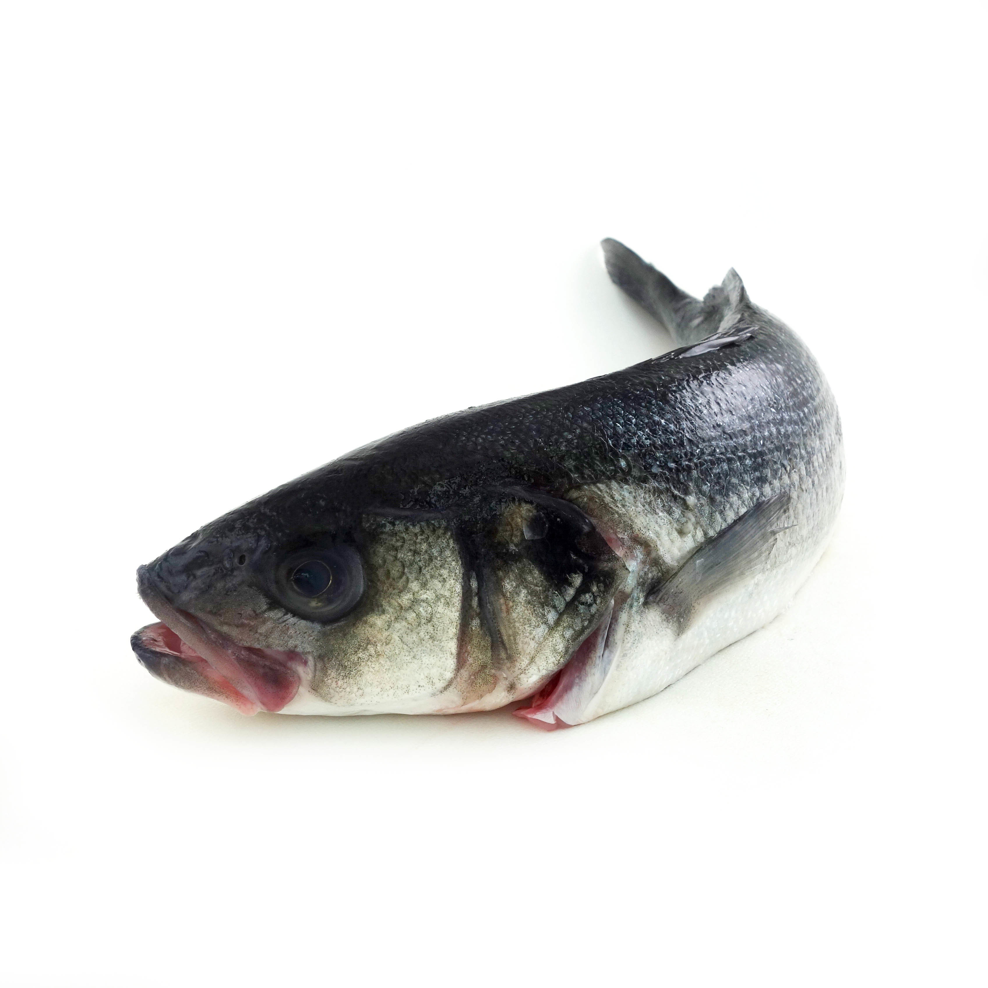 French Wild Seabass Whole G&G