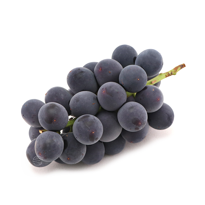 Japanese Yamanashi-ken Kyoho Grapes 300-350g*