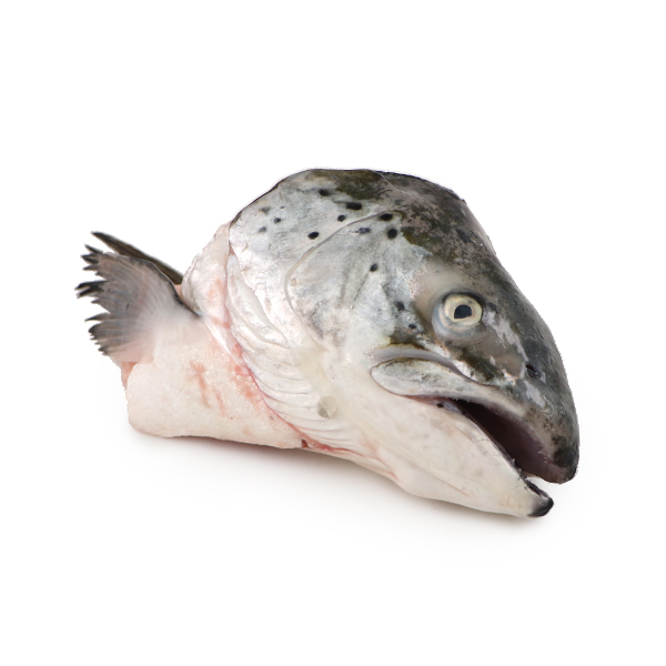 Frozen Irish Organic Salmon Head (1pc)