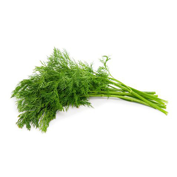 Dill 100g - Israel*