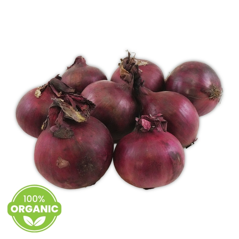 European Organic Red Onion 1kg*