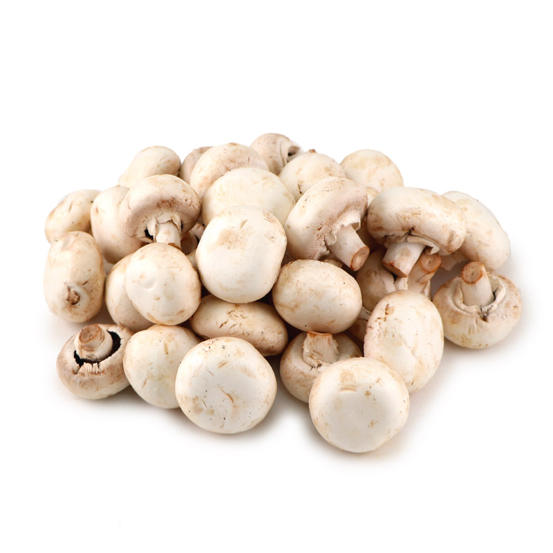 White Button Mushroom 500g - Netherlands*