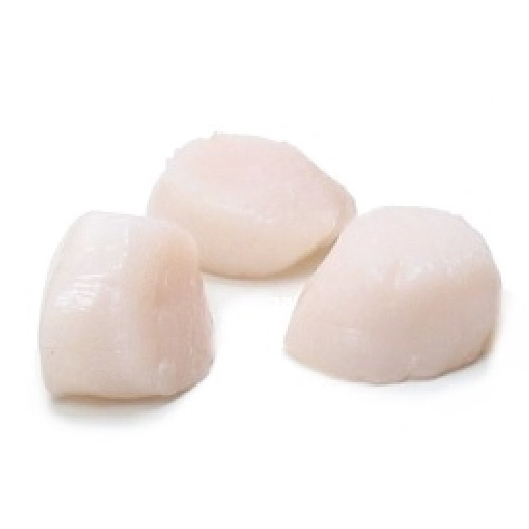 Frozen Canada Scallop Meat 500g*