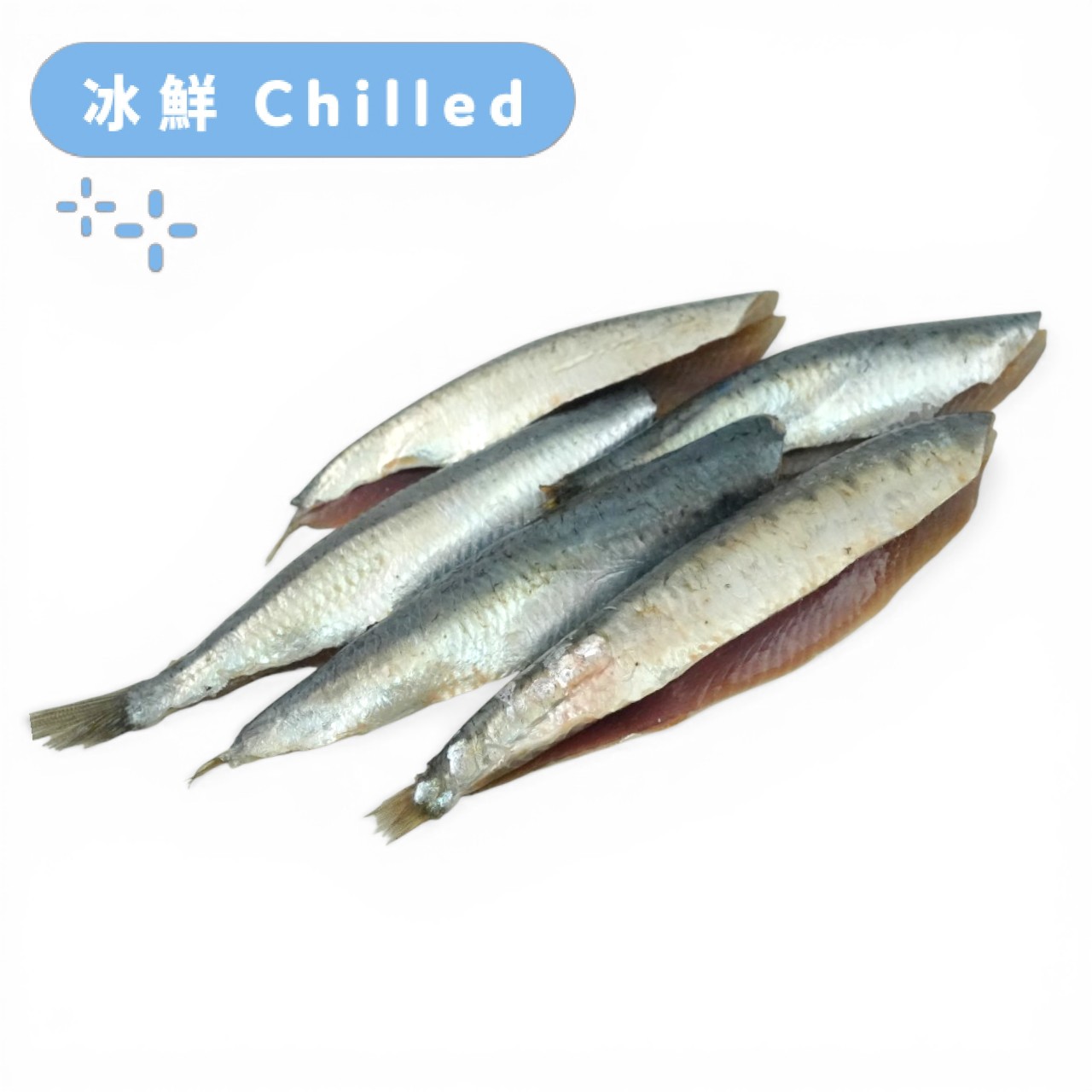 Atlantic Northeast Wild Caught Sardine Fillet