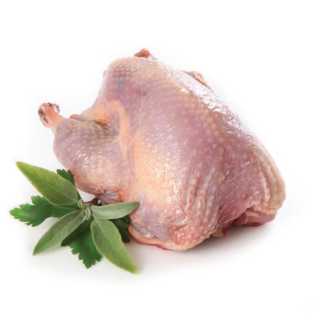 Frozen Donald Russell Wild Whole Partridge 280g - UK*