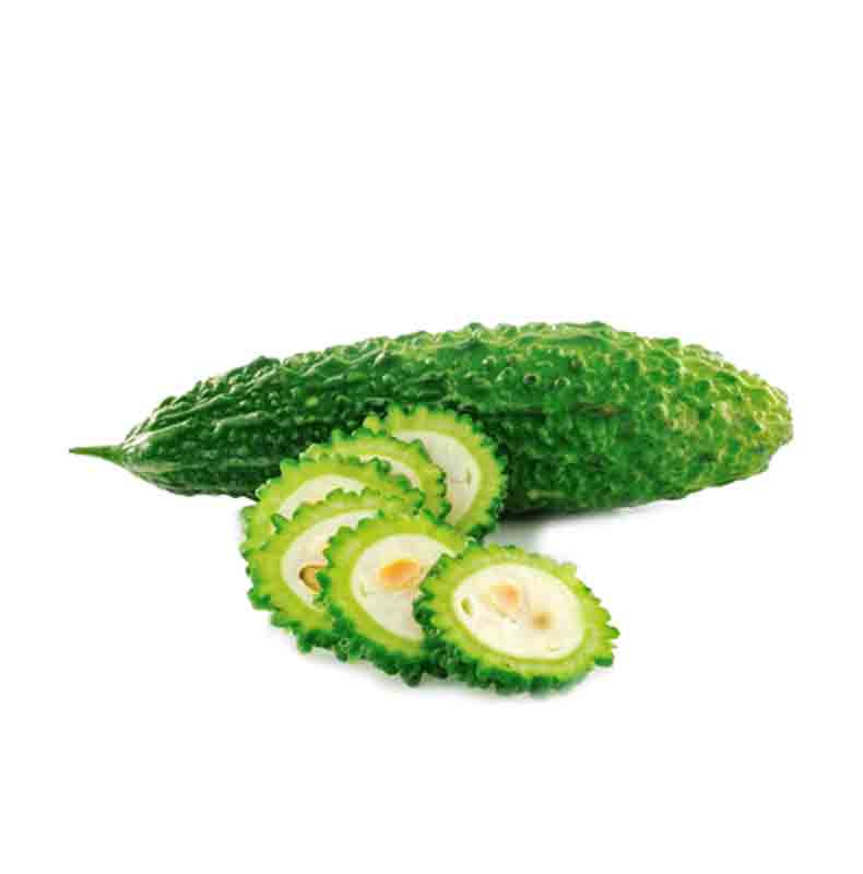 Organic Bitter Cucumber - HK