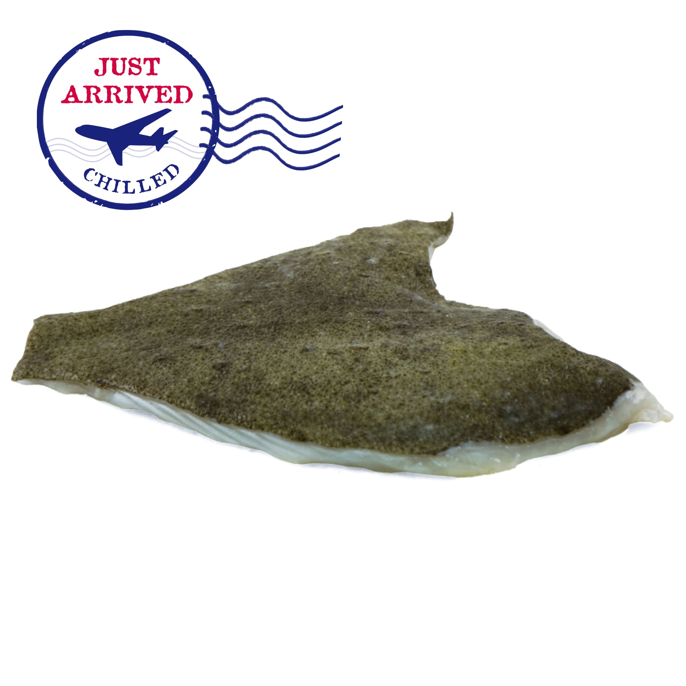 西班牙多寶魚柳(Turbot)