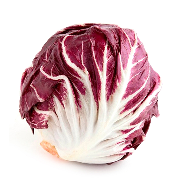 意大利紅菊苣(Radicchio Rosso)