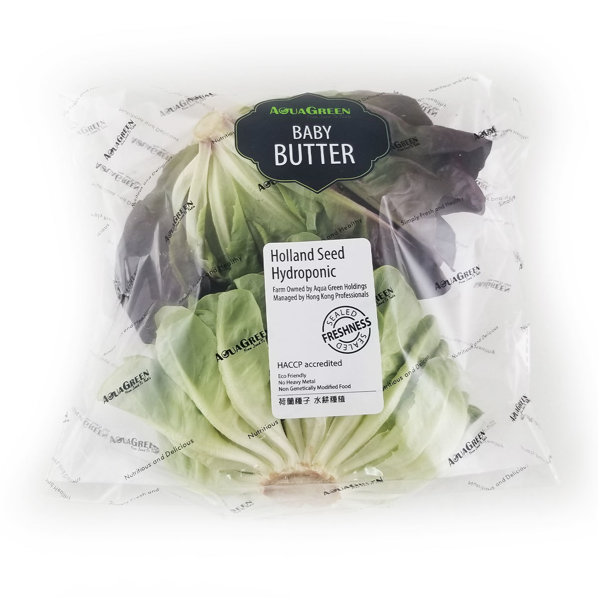 Butter - Red & Green Hydroponic Salad - 200g - China*