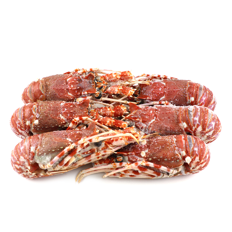 Frozen Afritex Wild Caught Lobster 1.5kg - Mozambique*