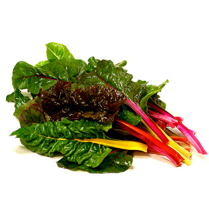 澳洲有機彩虹葉甜菜(Rainbow Chard)*