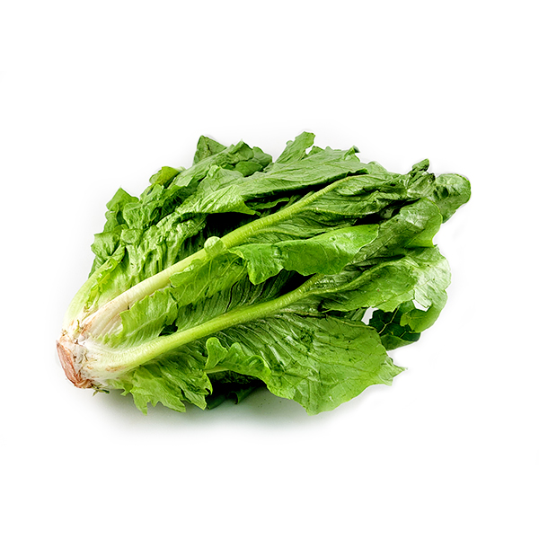 澳洲羅馬生菜(Cos Lettuce)*