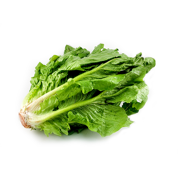 Cos Lettuce - Aus*