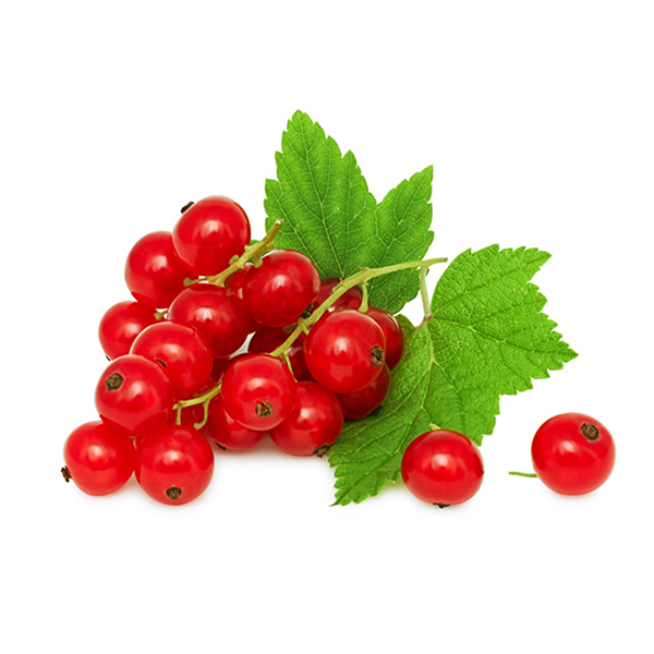 Dutch Red Currants 125g*