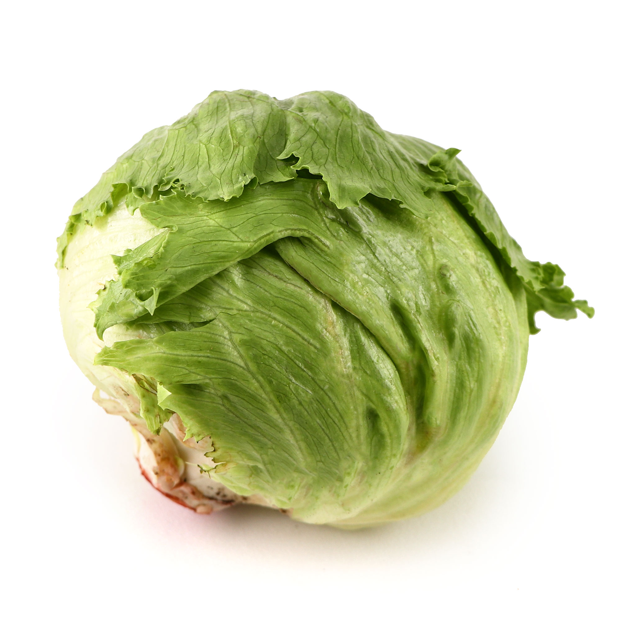 Iceberg Lettuce 550g - Netherlands*