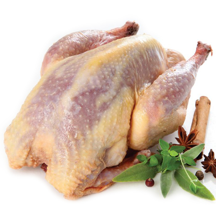 Frozen Donald Russell Wild Whole Pheasant 750g - UK*