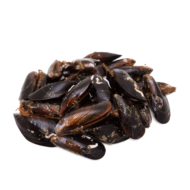 Spain Mussel 1kg*