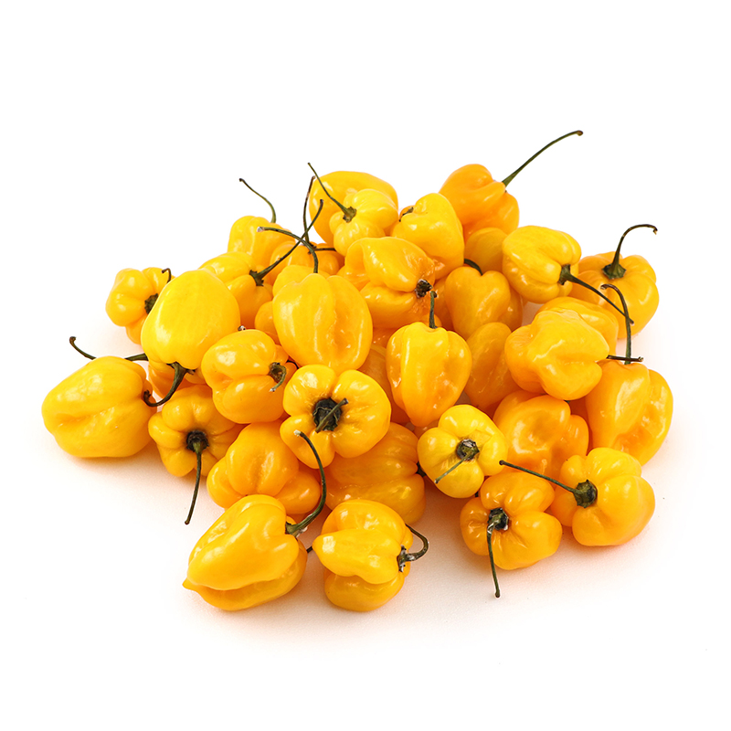 Chili Yellow Habanero 500g - Netherlands*