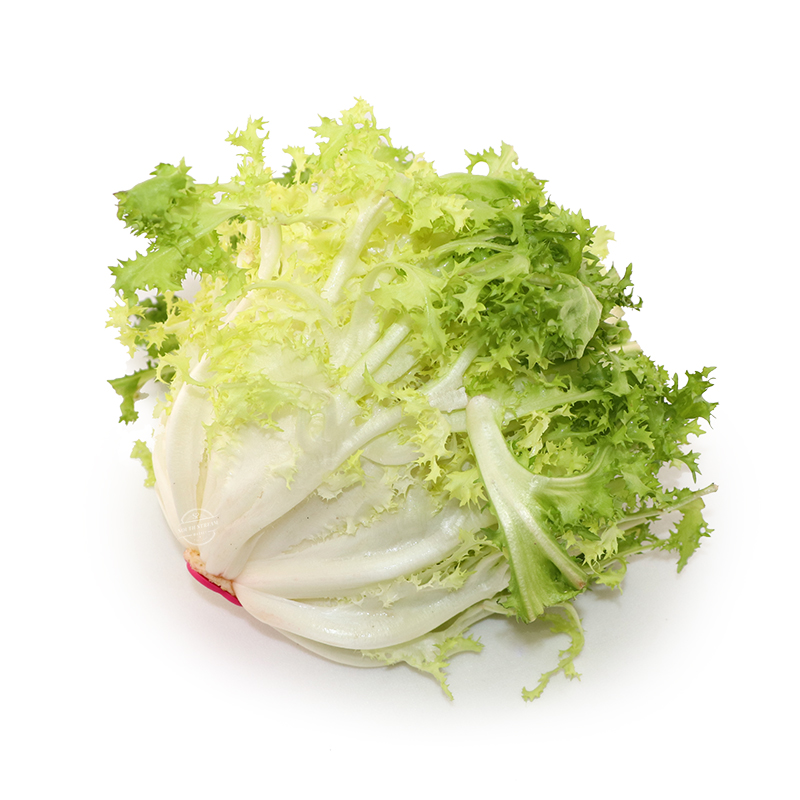 Italian Lettuce Indivia Riccia