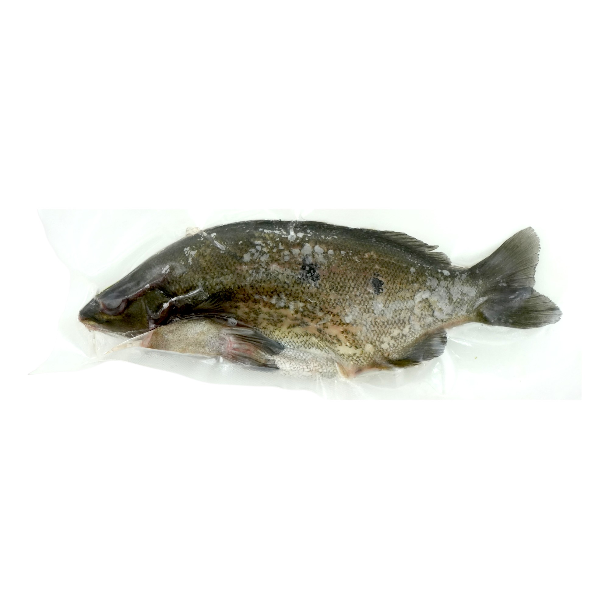 急凍香港本地養殖寶石魚250-300克*