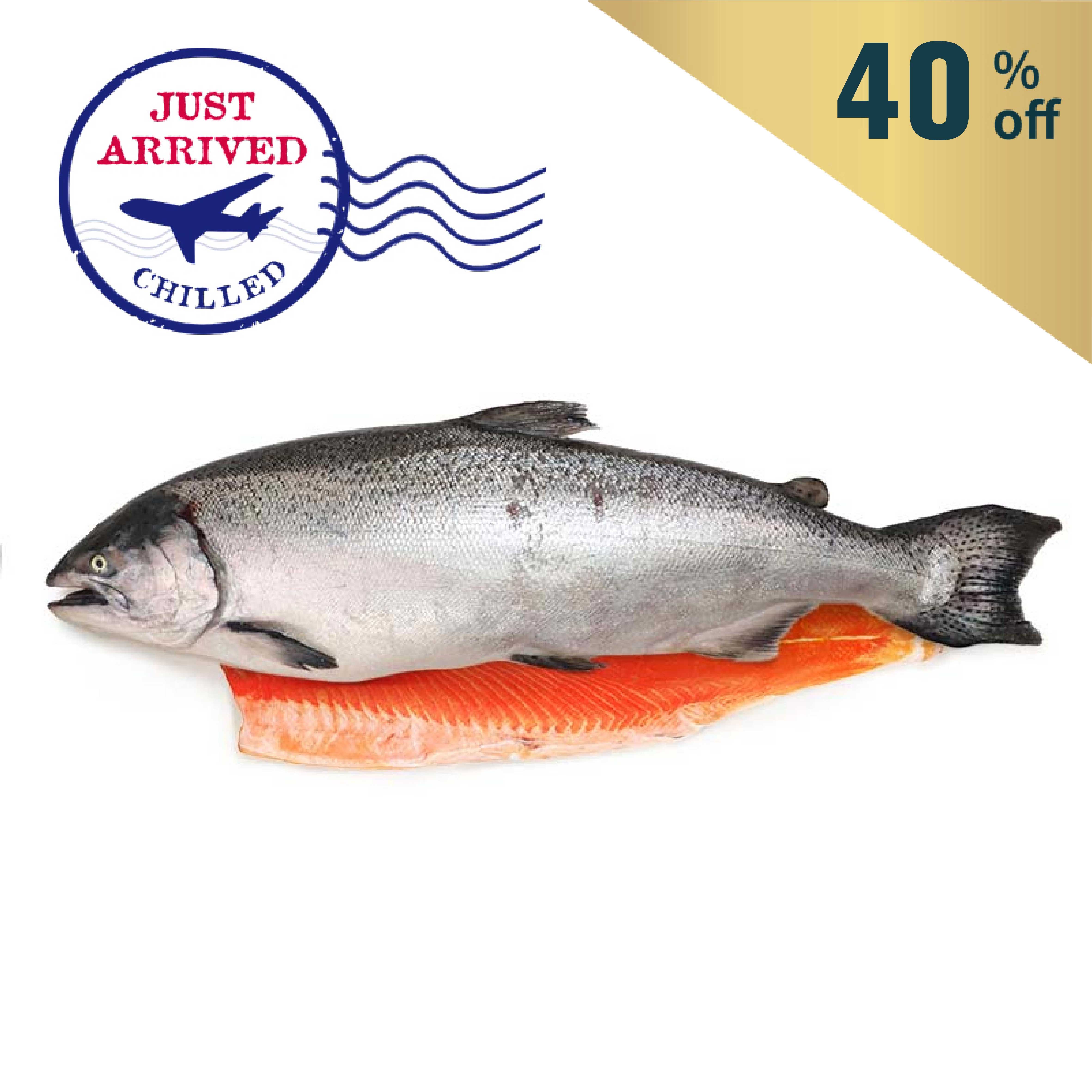 Irish OSO Organic Farmed Half Salmon (Gilled and Gutted)