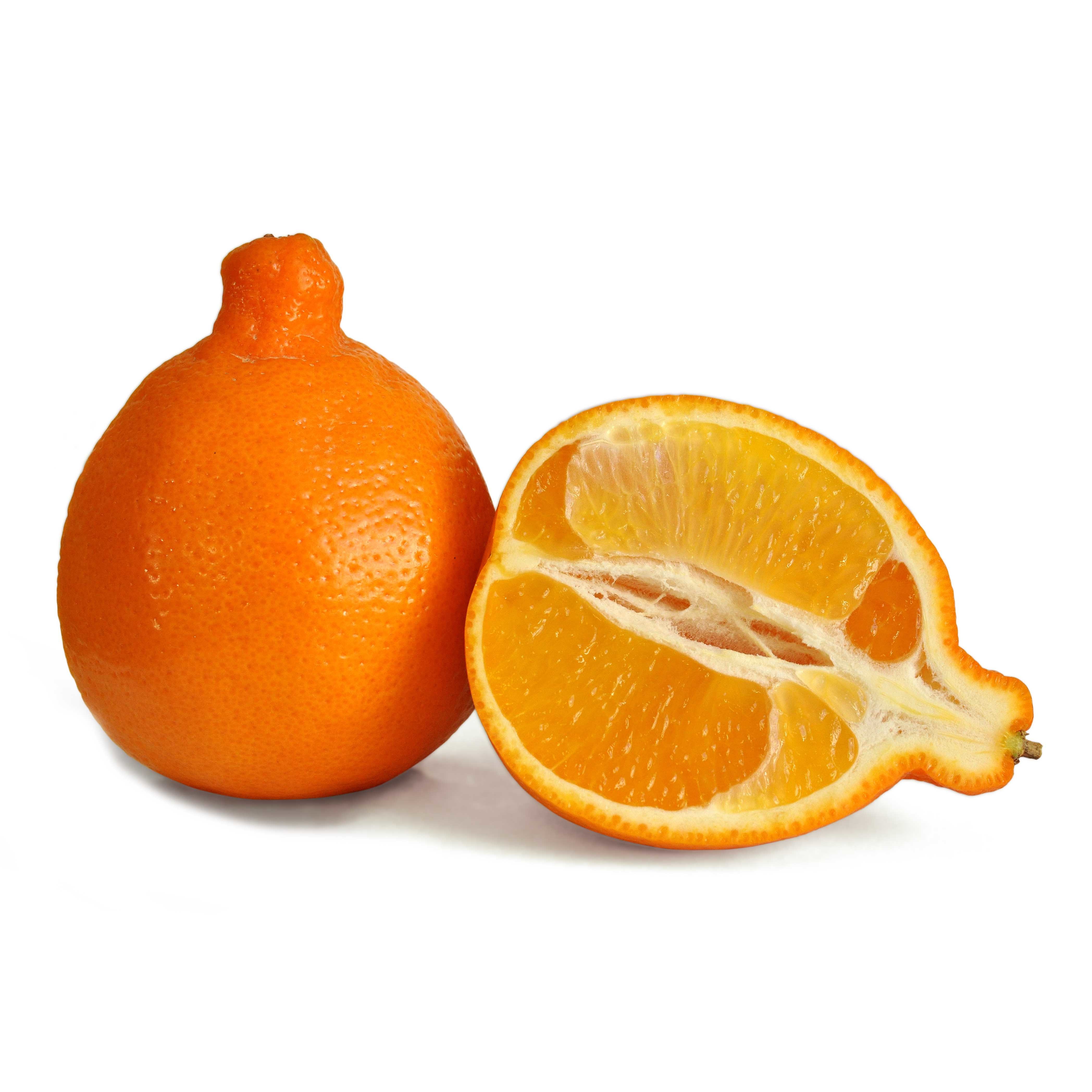 Мандарины минеола. Танжело Минеола. Минеола цитрус. Гибрид мандарина и апельсина Минеола.