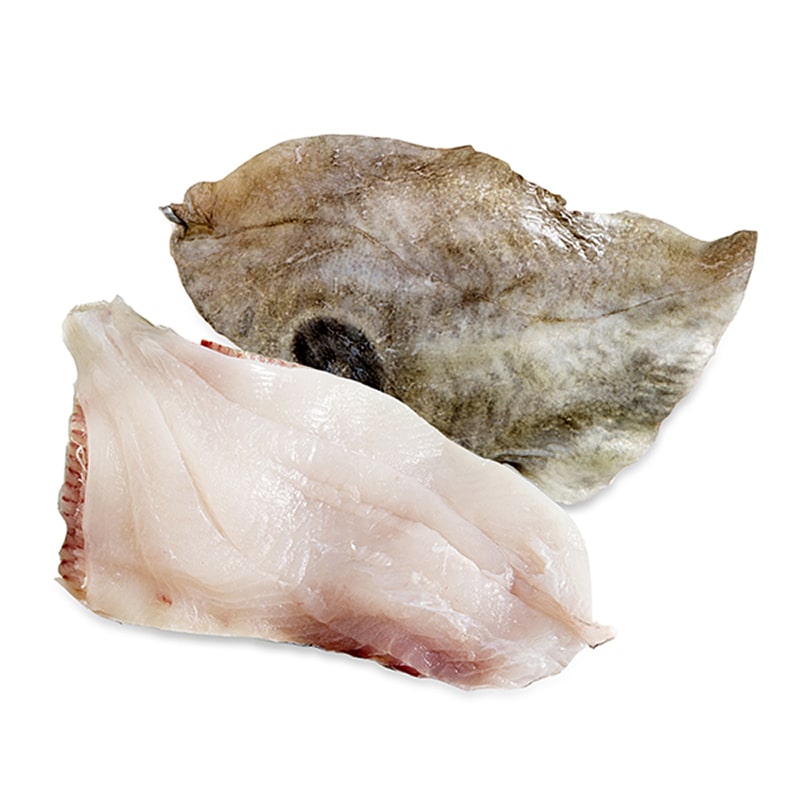 Frozen Aus Wild Caught John Dory Fillet