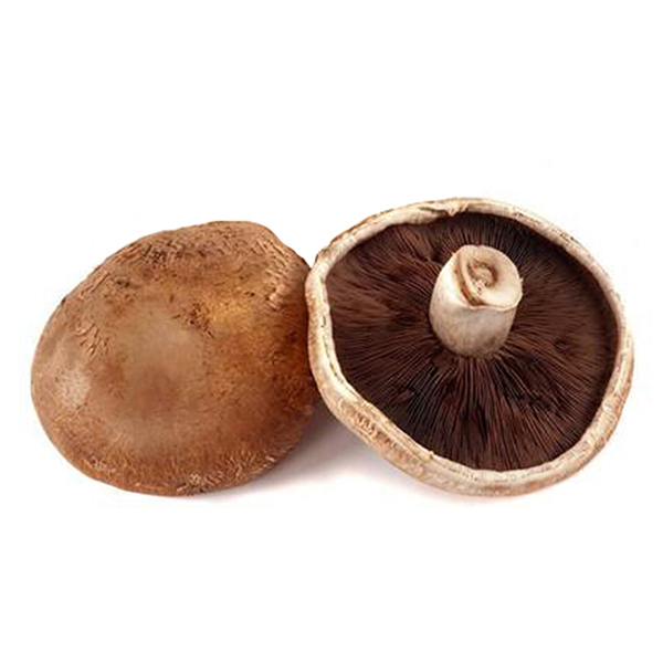 Dutch Portabello Mushroom (2pcs)