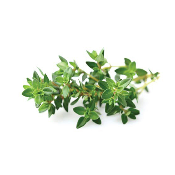 Thyme 100g - Israel*