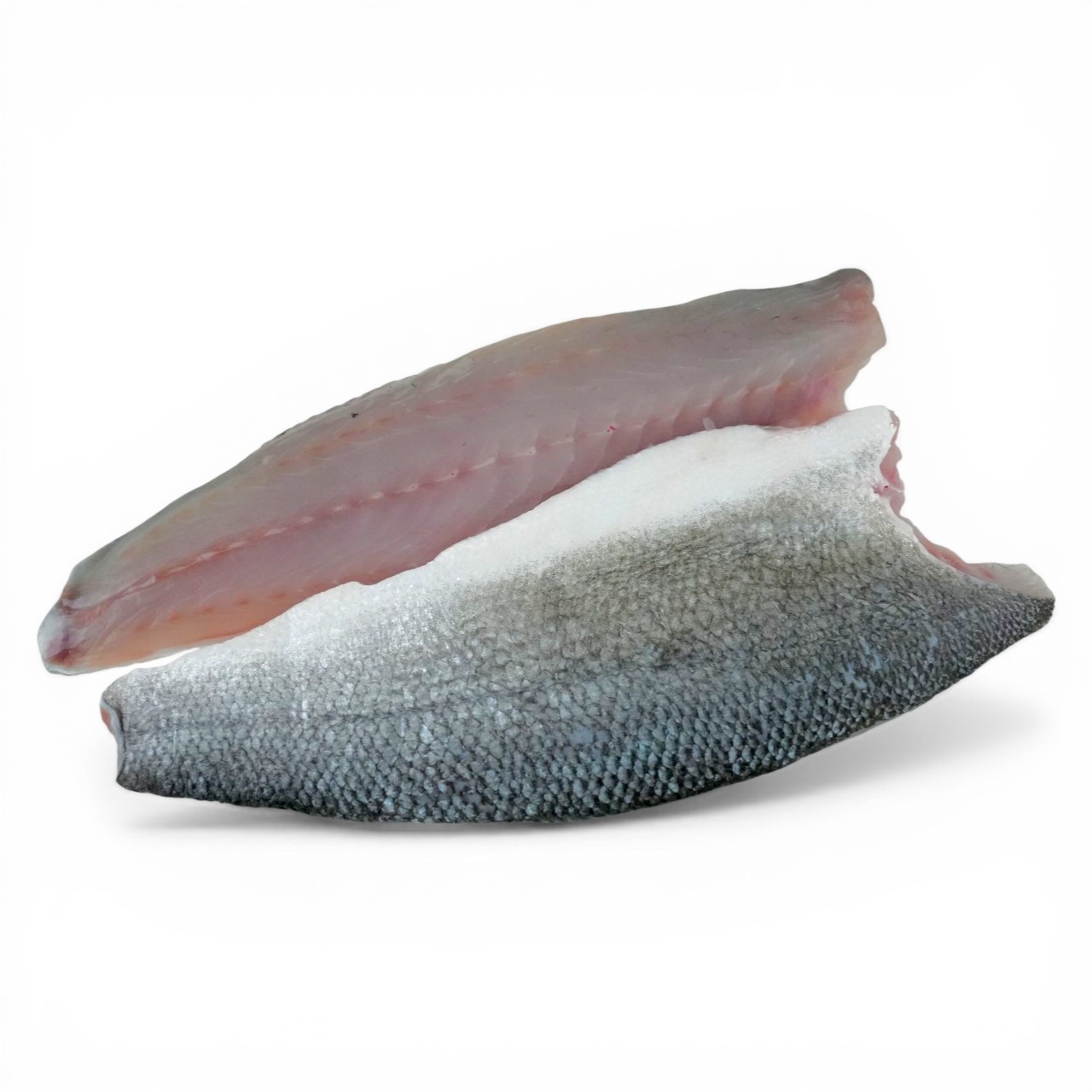 Frozen Turkish Sea Bass Fillet 140/190g (2pcs)