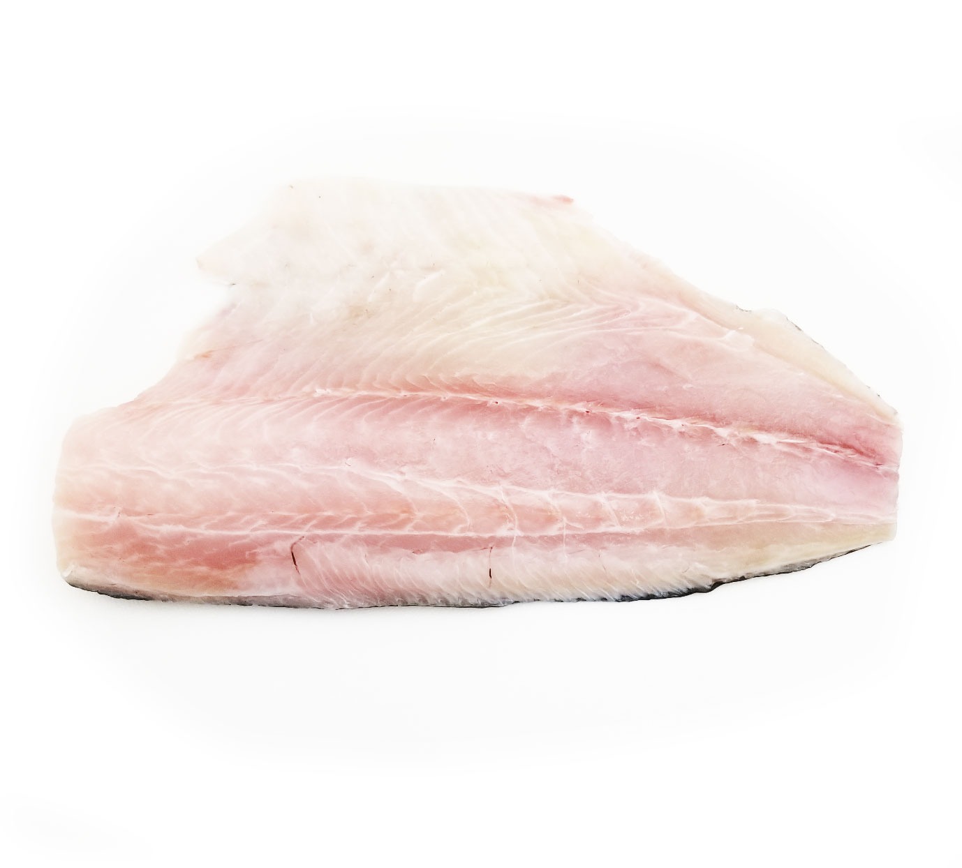 Frozen Almaco Jack Fillet - Skin On