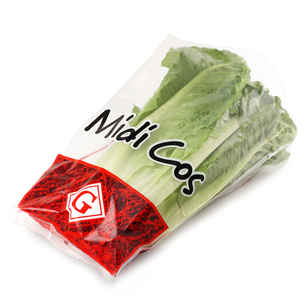 Cos Midi Lettuce - Aus*