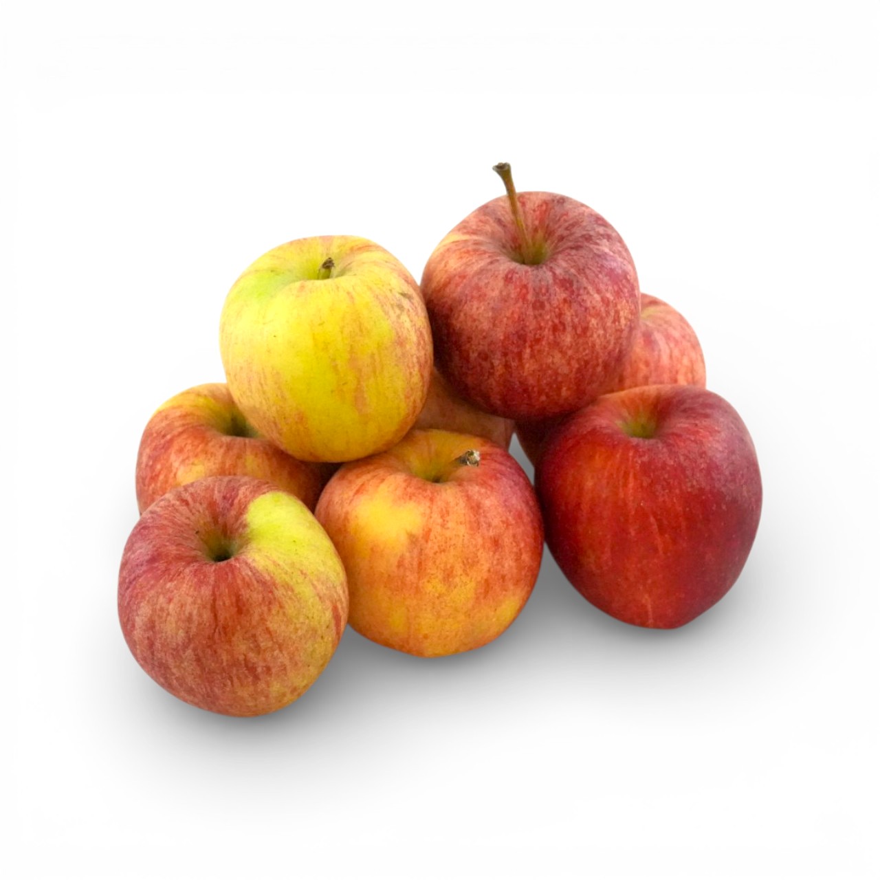 European Organic Rogal Gala Apples 1kg*